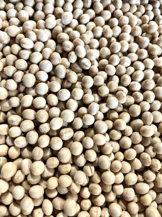 北海道十勝産 令和5年度 とよまさり大豆 950g – 豆専門ネットショップ