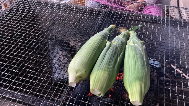 数量限定 8/20迄予約受付中 8月中旬頃から順次発送予定 北海道本別町 朝採れとうもろこしビーナスコーン 20本 送料込