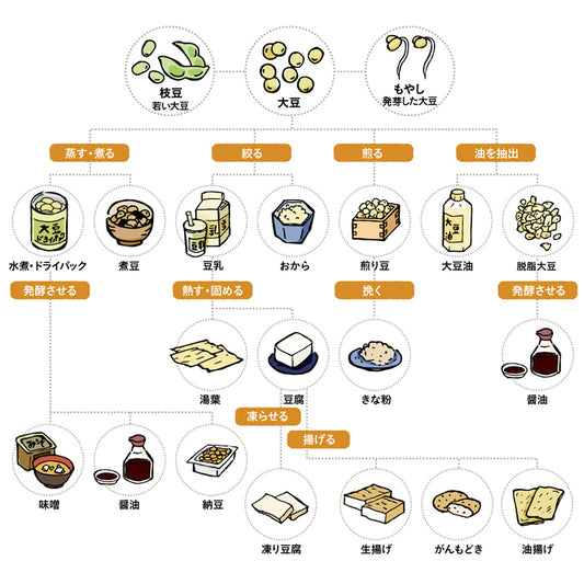 姿をかえる大豆