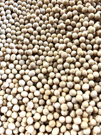 北海道十勝産　令和5年度　スズマル大豆　950g