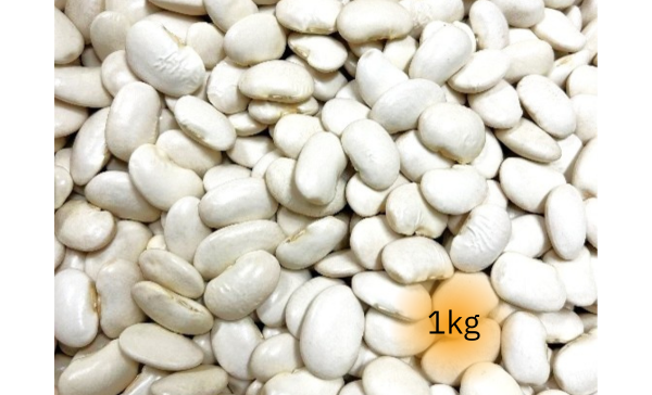 北海道十勝産　白花豆　1kg