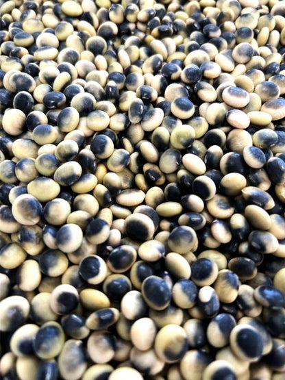 北海道十勝産　鞍掛豆（くらかけ豆）　450g