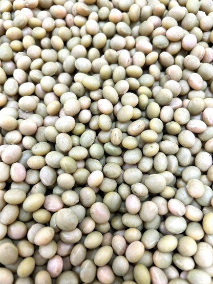 北海道十勝産　音更大袖振大豆（おとふけおおそでふり大豆）　450g