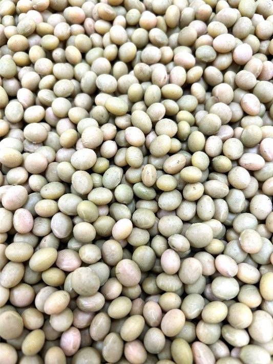 北海道十勝産　音更大袖振大豆（おとふけおおそでふり大豆）　450g