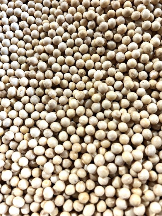 北海道十勝産　令和5年度　スズマル大豆　450g