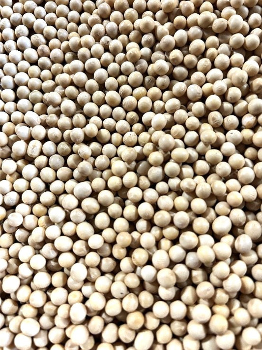 北海道十勝産　令和5年度　スズマル大豆　450g