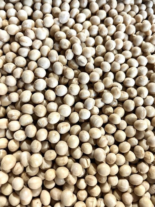 北海道十勝産　2023年度　とよまさり大豆　450g