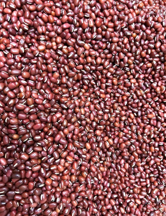 2025年度新豆　北海道十勝産　きたろまん小豆　450g