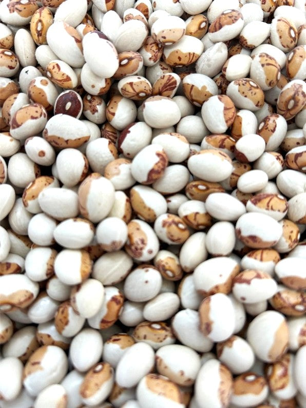 2025年度新豆　北海道十勝産　とら豆　450g