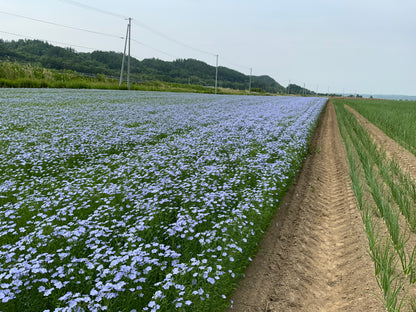 北海道産亜麻仁オイル入　n-3系脂肪酸（α-リノレン酸）十勝農家の和風たまねぎドレッシング 300ml×3本セット