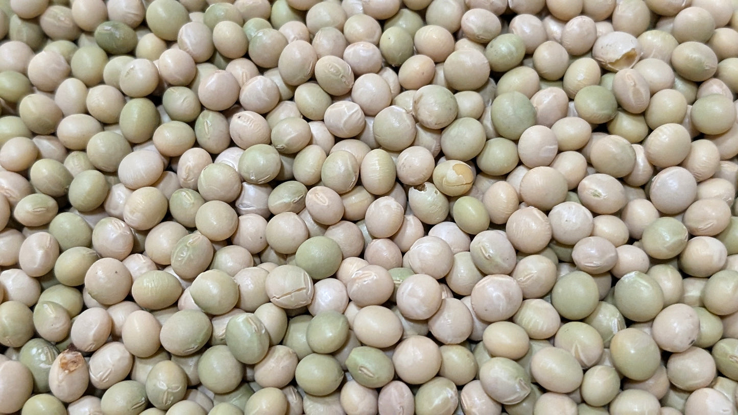 数量限定 2025年度新豆 北海道十勝本別町産　有機青大豆 大袖の舞 900g  オーガニック JAS認証　無農薬･化学肥料不使用