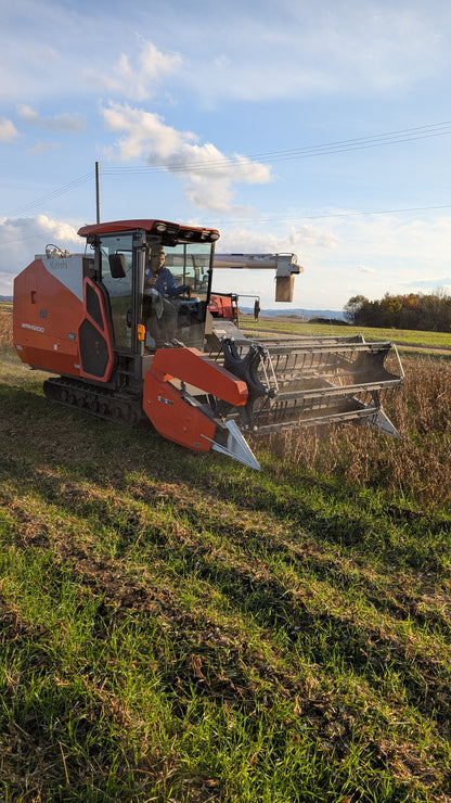 数量限定 2025年度新豆 北海道十勝本別町産　有機青大豆 大袖の舞 4kg  オーガニック JAS認証　無農薬･化学肥料不使用