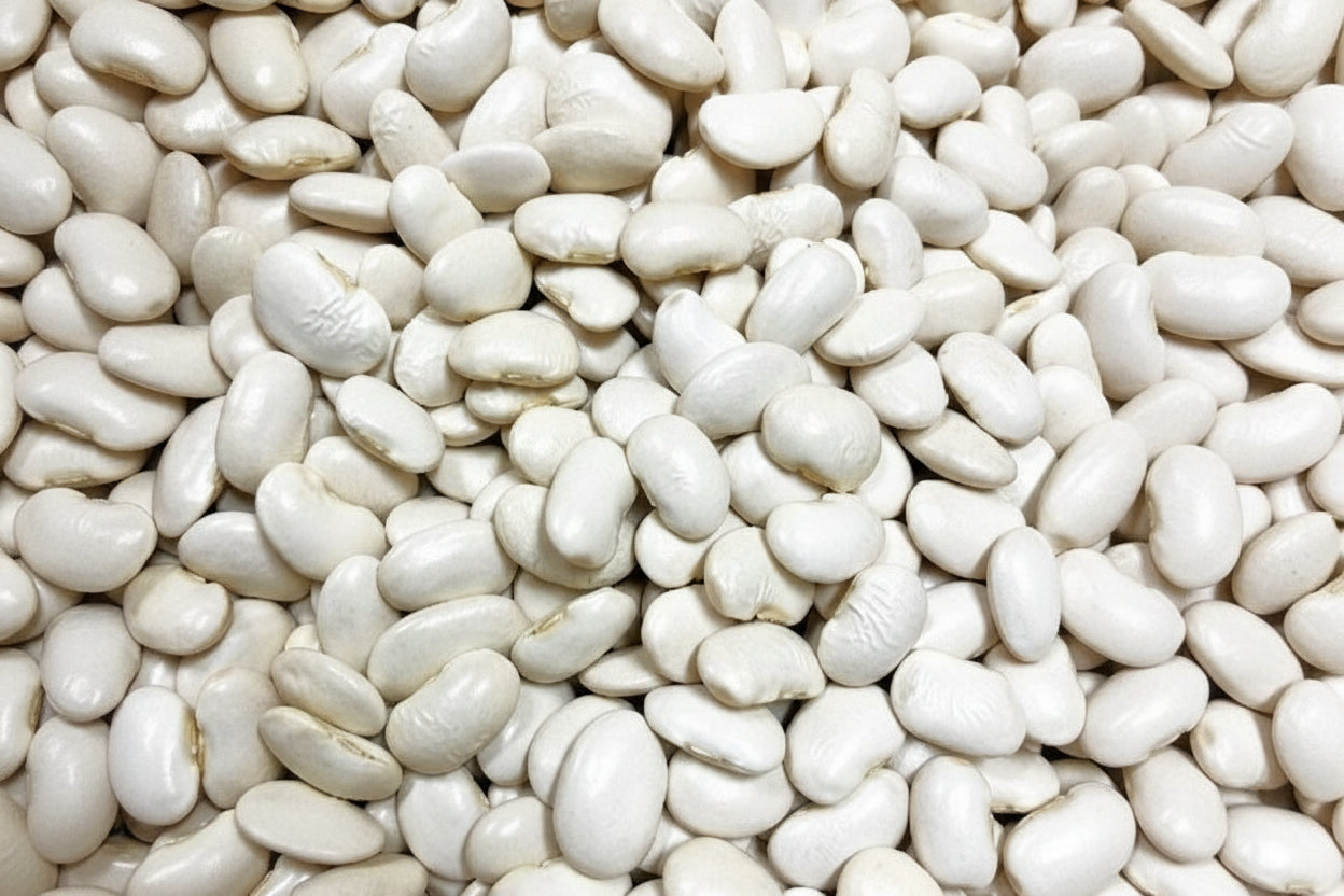 2025年度 北海道十勝産　白花豆　450g