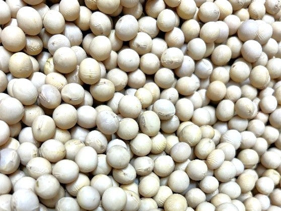 北海道十勝産　たまふくら大豆　450g