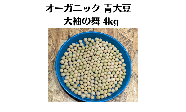 数量限定 2025年度新豆 北海道十勝本別町産　有機青大豆 大袖の舞 4kg  オーガニック JAS認証　無農薬･化学肥料不使用