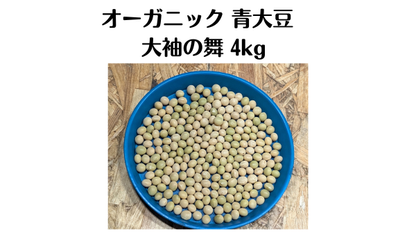数量限定 2025年度新豆 北海道十勝本別町産　有機青大豆 大袖の舞 4kg  オーガニック JAS認証　無農薬･化学肥料不使用