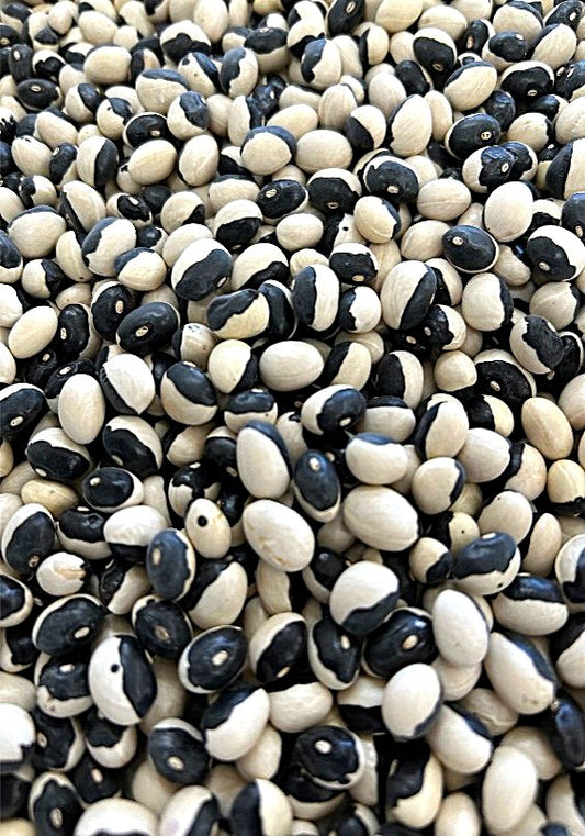 2024年度 北海道十勝産　シャチ豆　450g