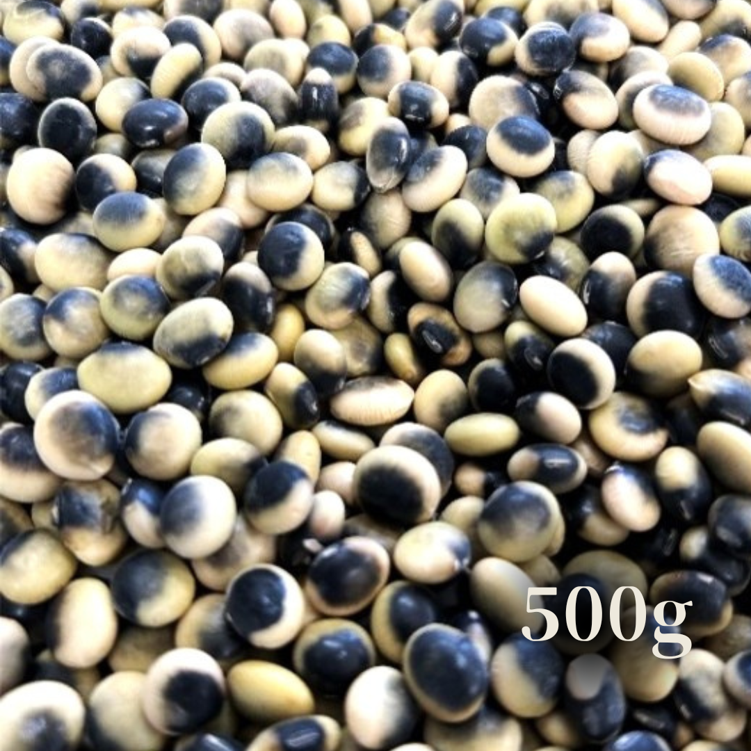 北海道十勝産　鞍掛豆（くらかけ豆）　500g