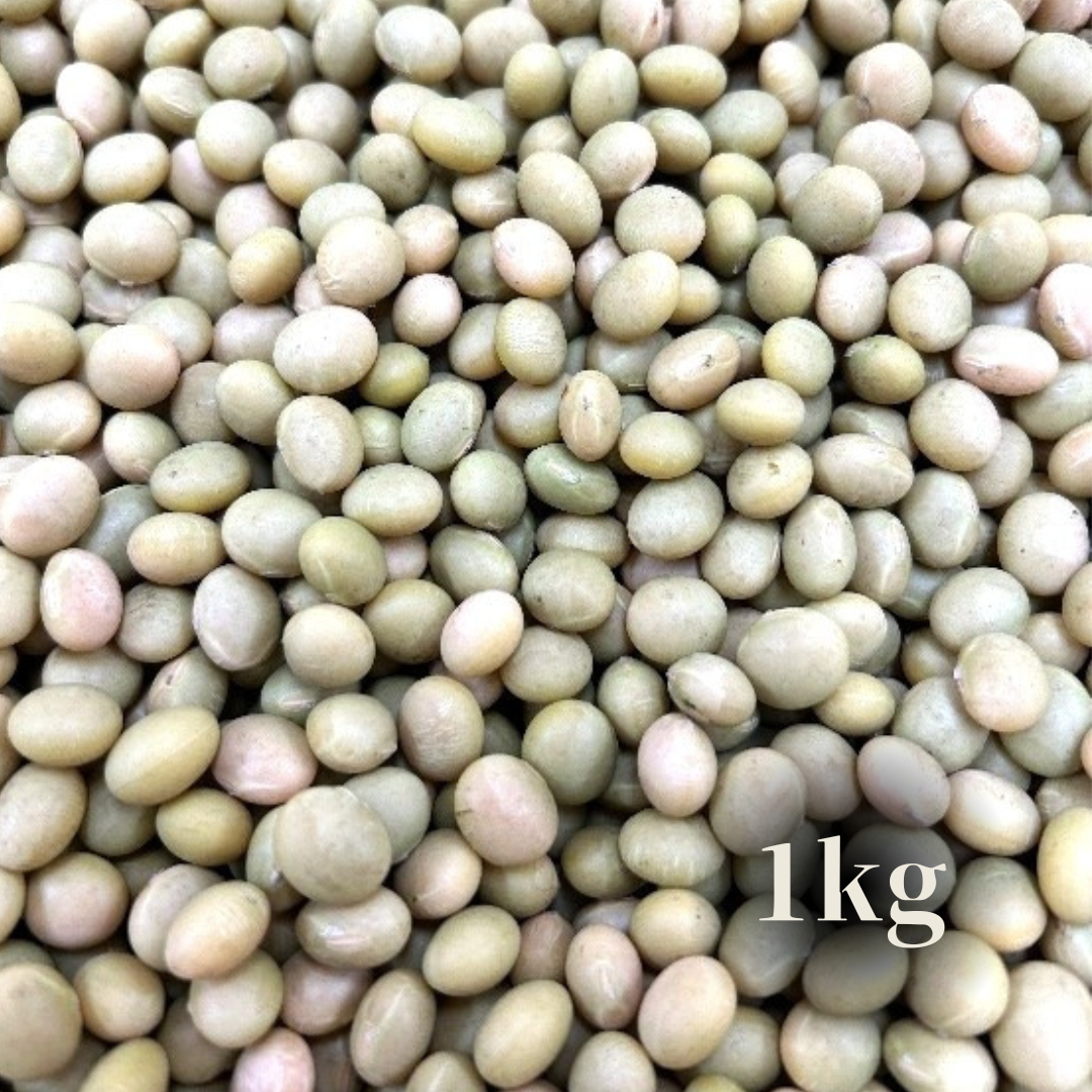 大豆 楽天市場】6年産 大豆 青森県産 おおすず大豆特選(大粒) 900g お