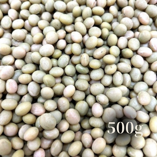 北海道十勝産　音更大袖大豆（おとふけおおそで大豆）　500g