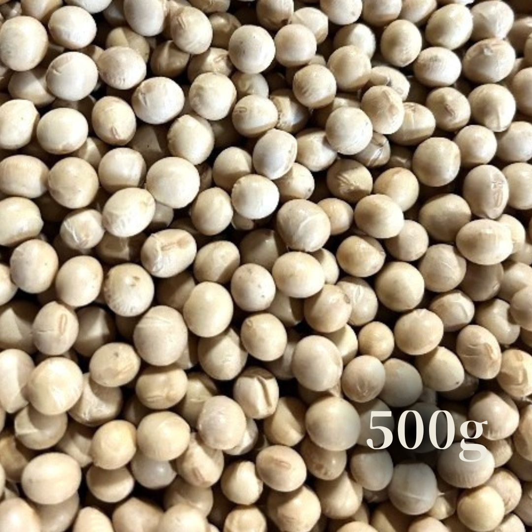 北海道十勝産　令和5年度　とよまさり大豆　500g