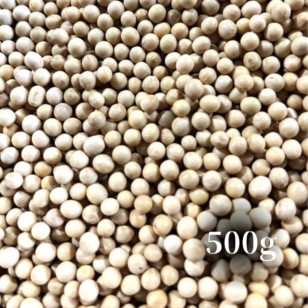 北海道十勝産　令和5年度　スズマル大豆　500g