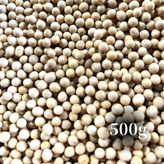 北海道十勝産　令和5年度　スズマル大豆　500g