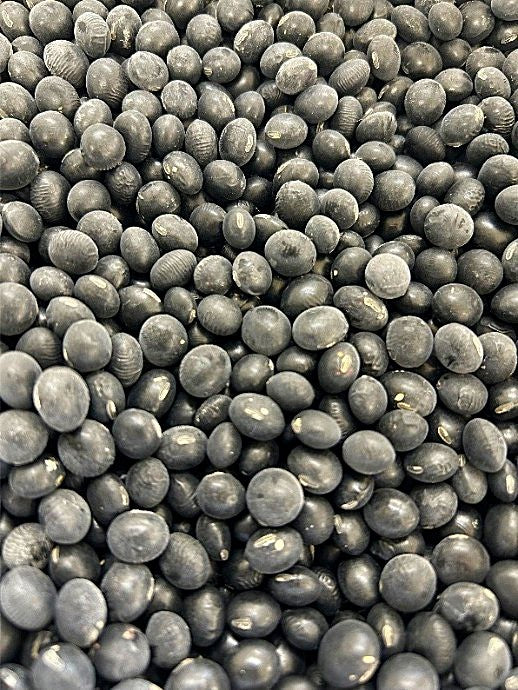 2025年産 北海道十勝産「いわいくろ 黒大豆」450g