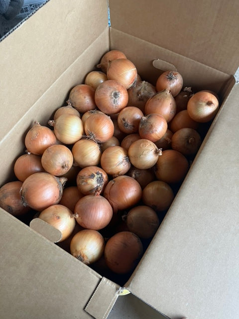 北海道本別町　山下農場　 S玉 北もみじ2000　10kg　