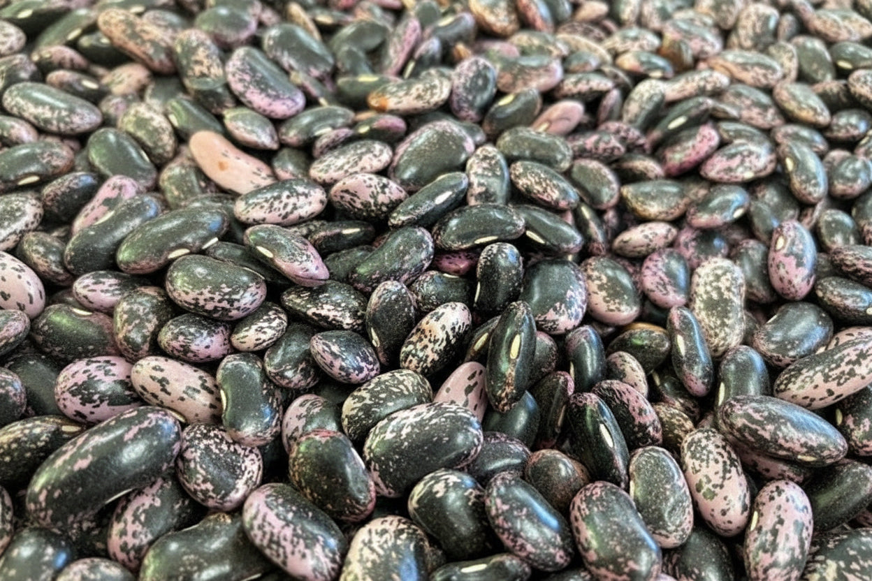 2025年度 北海道十勝産　紫花豆　1kg