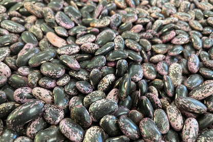 2025年度 北海道十勝産　紫花豆　1kg