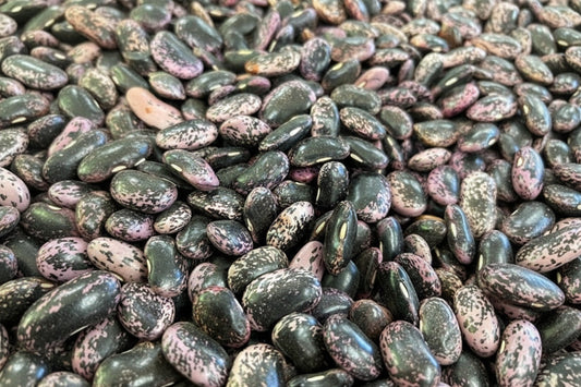 2025年度 北海道十勝産　紫花豆　1kg